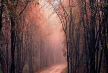 开云APP-英超锋刃出鞘！葡萄牙绝境逢生，C罗任意球绝杀书写关键一胜！