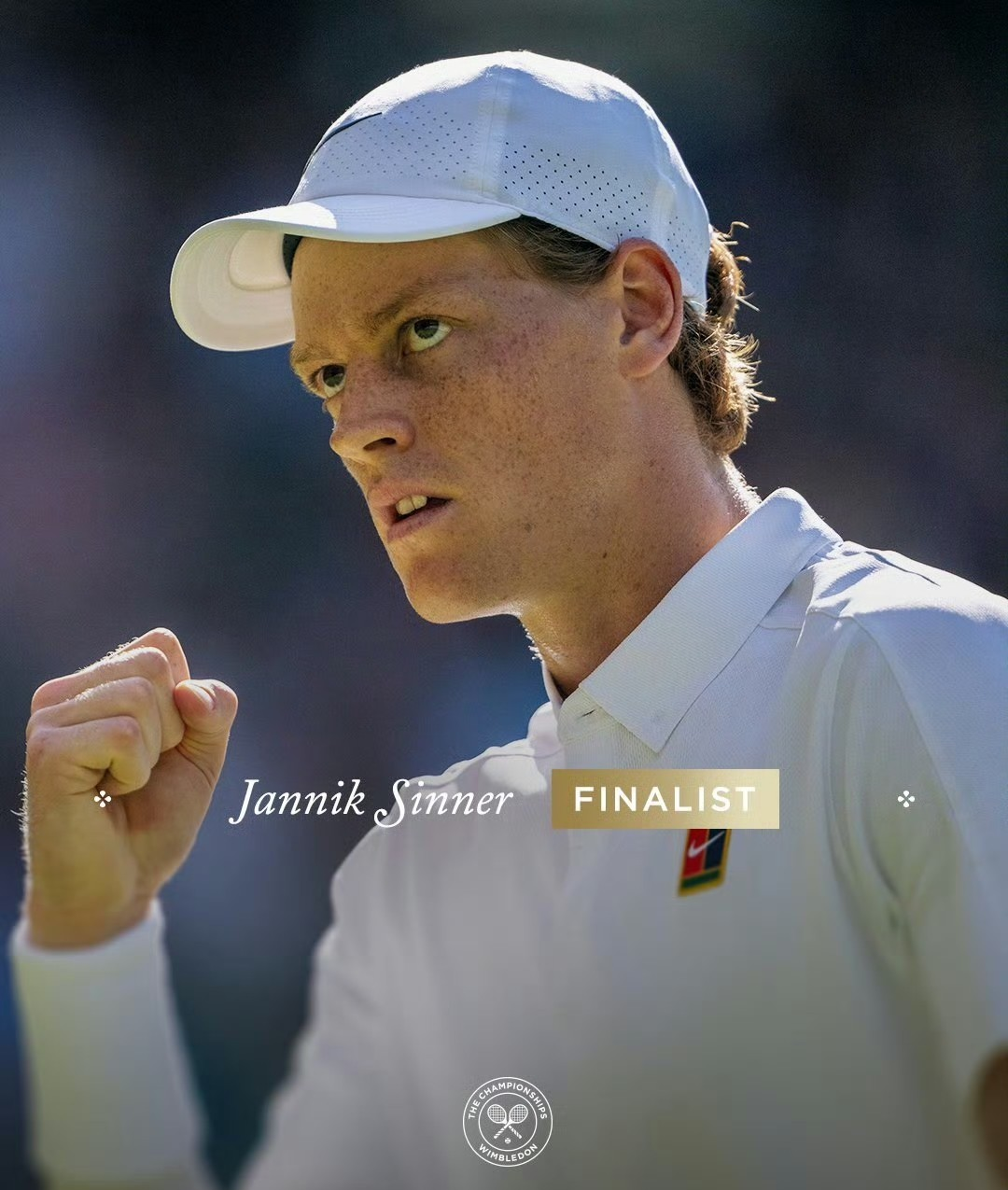 温网碾压戴维斯杯,辛纳扛起全队 温网碾压戴维斯杯,辛纳扛起全队