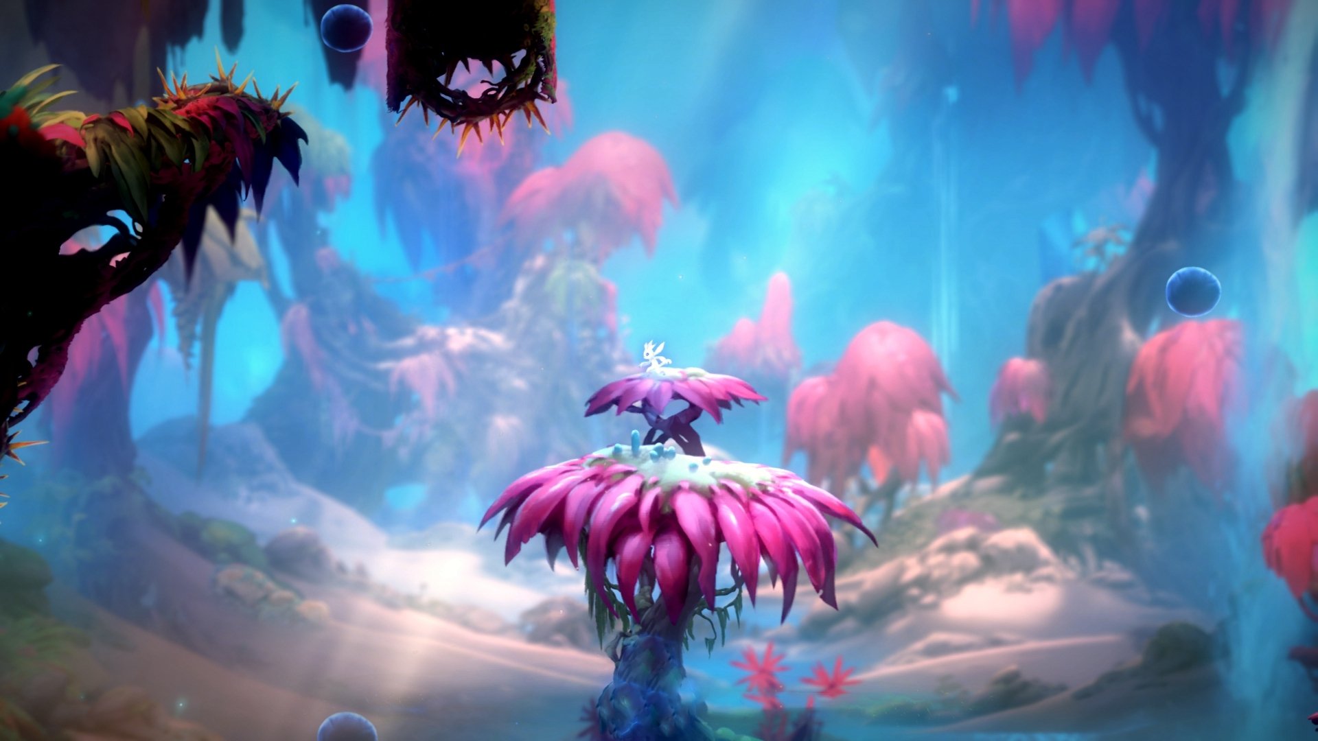 乌拉圭VS伊拉克,沙漠绿洲上的铁血对决,迪亚斯如何炼成硬仗之王