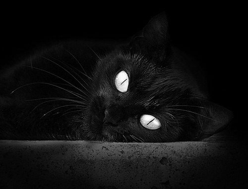 精密战车碾碎南美疾风,复盘阿克如何一手执棋,终结比赛悬念