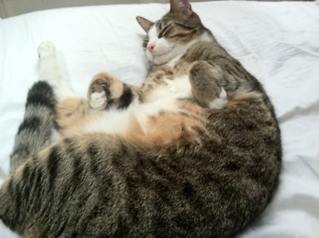 钢铁黄蜂，当恩比德的统治力诠释新时代的翻盘艺术