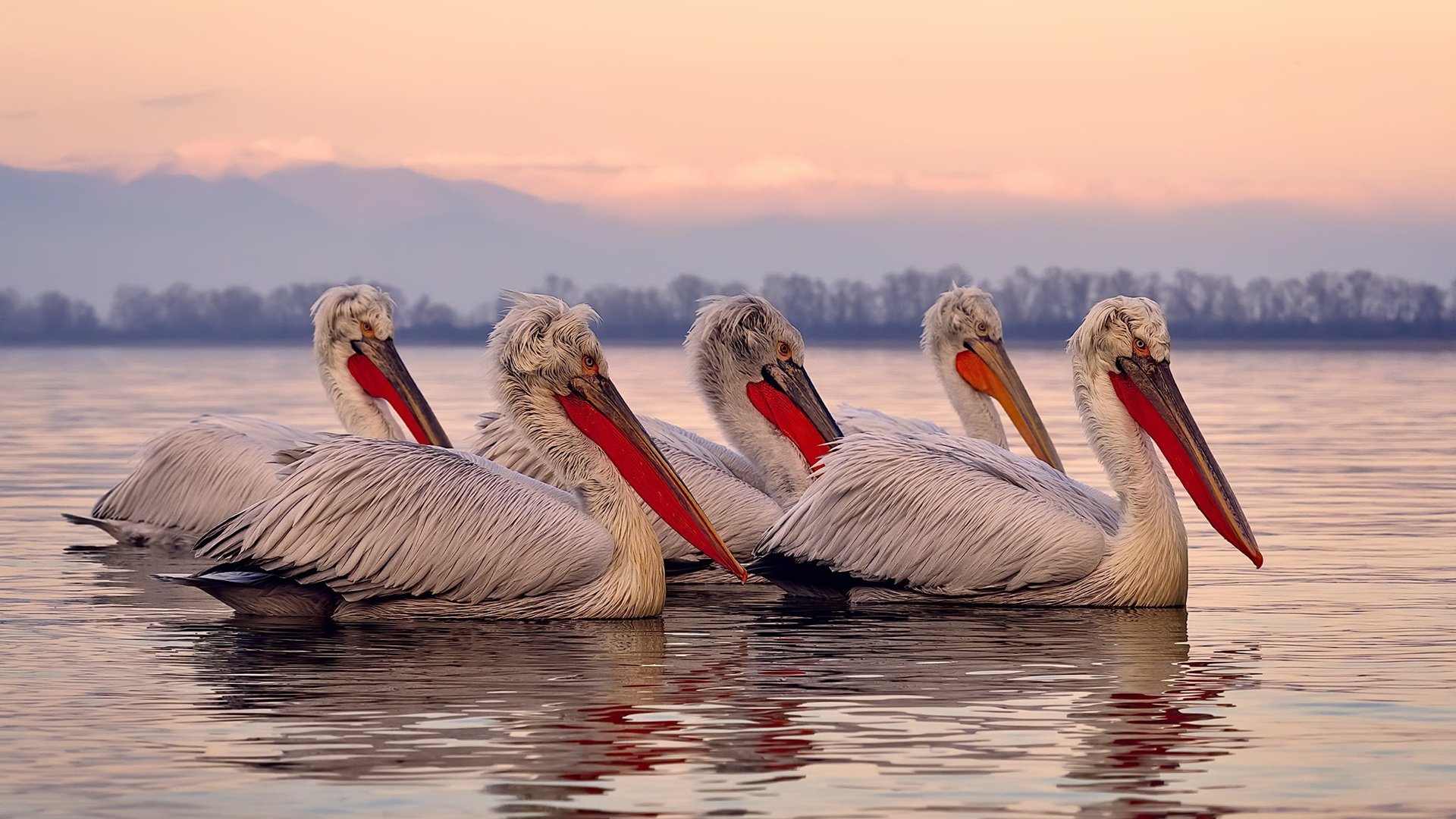 孙兴慜终场绝杀!马赛欧冠奇迹险胜莱比锡红牛,亚洲巨星再证关键先生本色