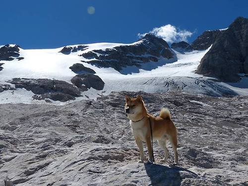 冷雨夜，萨内擎旗，葡萄牙无名旅逆袭拉齐奥的战术革命与精神涅槃